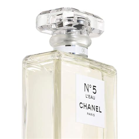 DANS PARIS EAU DE PARFUM 100ML .